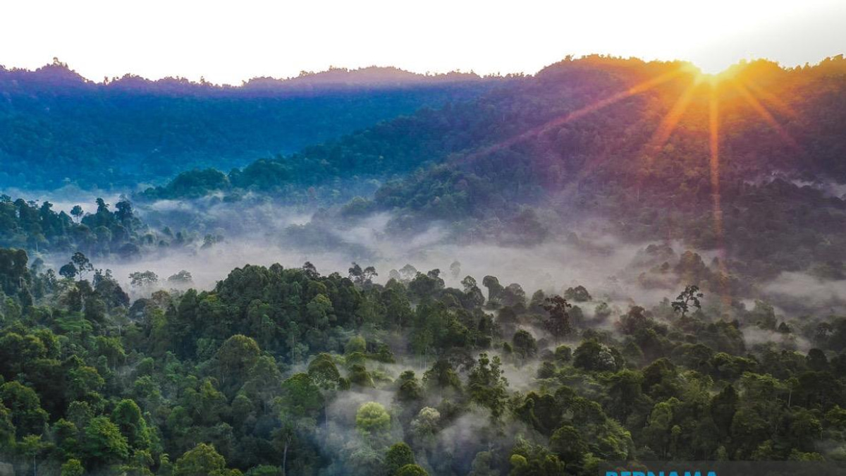 Kelantan to Replace Degazetted Forest Reserves, Deputy Menteri Besar Assures