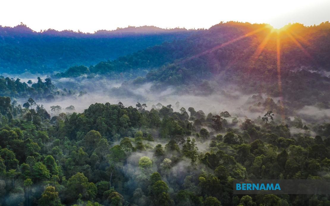 Kelantan to Replace Degazetted Forest Reserves, Deputy Menteri Besar Assures