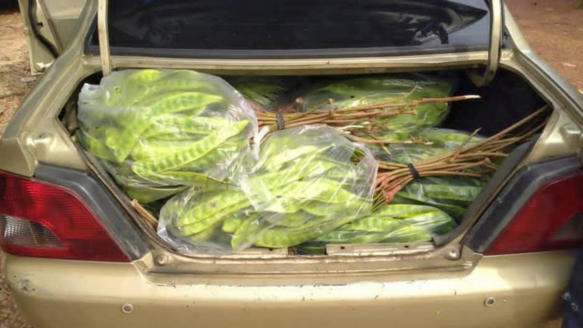 Thai national detained over RM8,000 fruit smuggling at Kelantan border