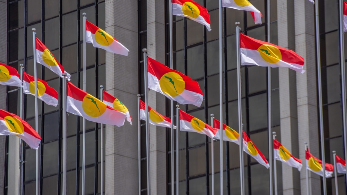 Perlis Umno Prepares to Fight All Seats Independently in Next Election
