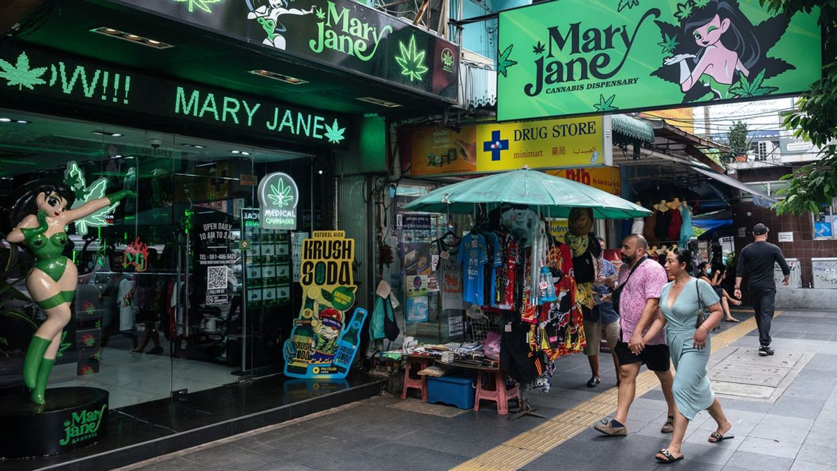 Thailand faces critical juncture on cannabis policy as stakeholders clash over regulation
