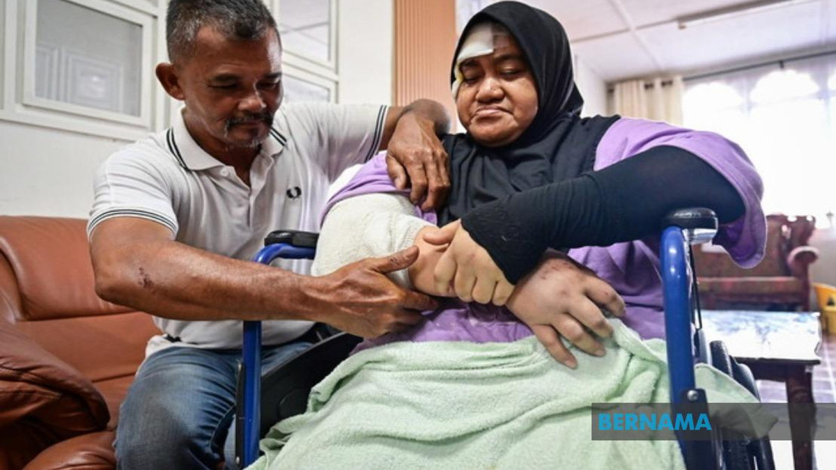 LPT2 Safety Concerns Escalate After Wild Elephant Collision Injures Couple