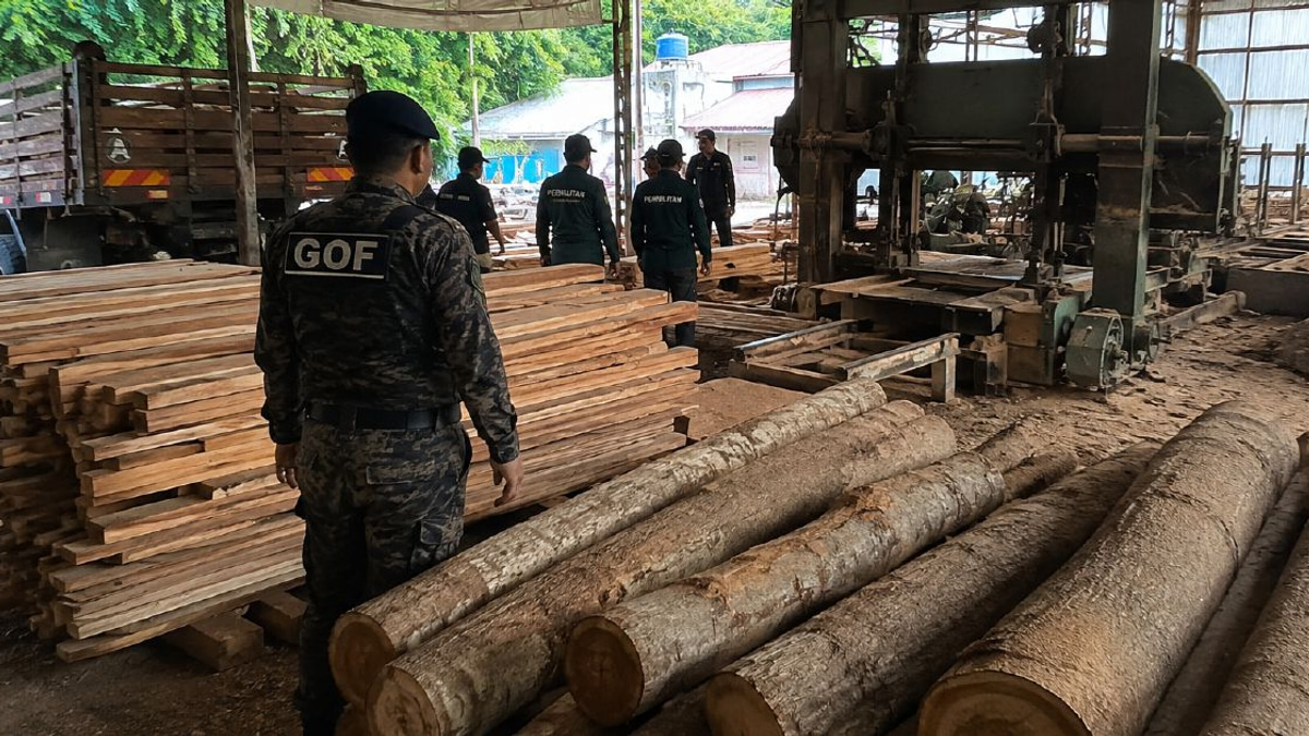 Illegal timber operation busted in Terengganu; RM640,510 haul seized