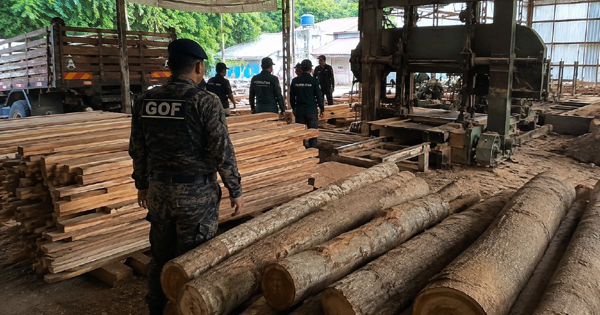 Illegal timber operation busted in Terengganu; RM640,510 haul seized