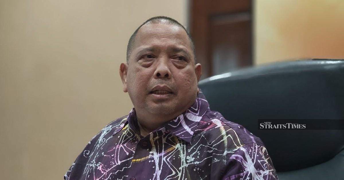 Bersatu Will Likely Need Coalition Partner for GE16, Says Perlis Chief