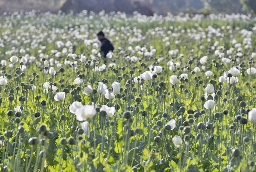 Myanmar authorities seize 17.6 kg of heroin and million stimulant pills in major drug busts