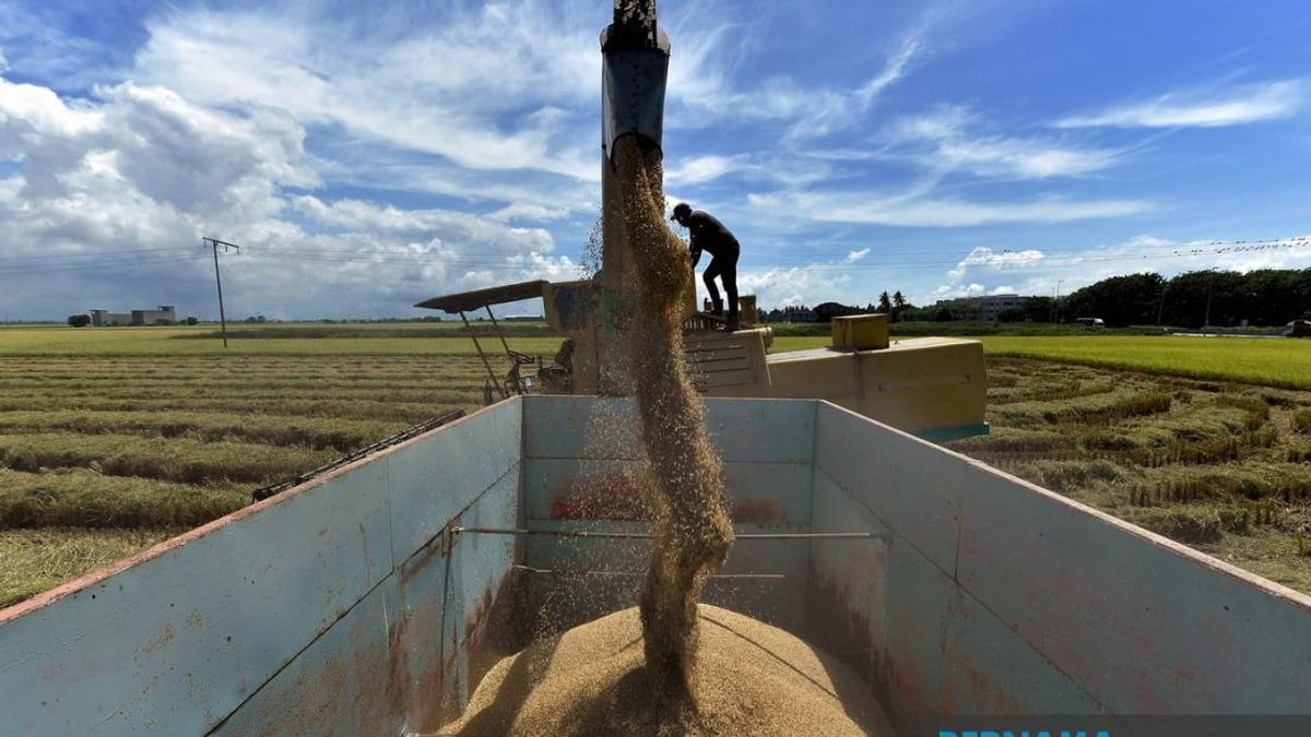 Malaysia's Rice Price Control Powers Expanded With Hefty New Penalties