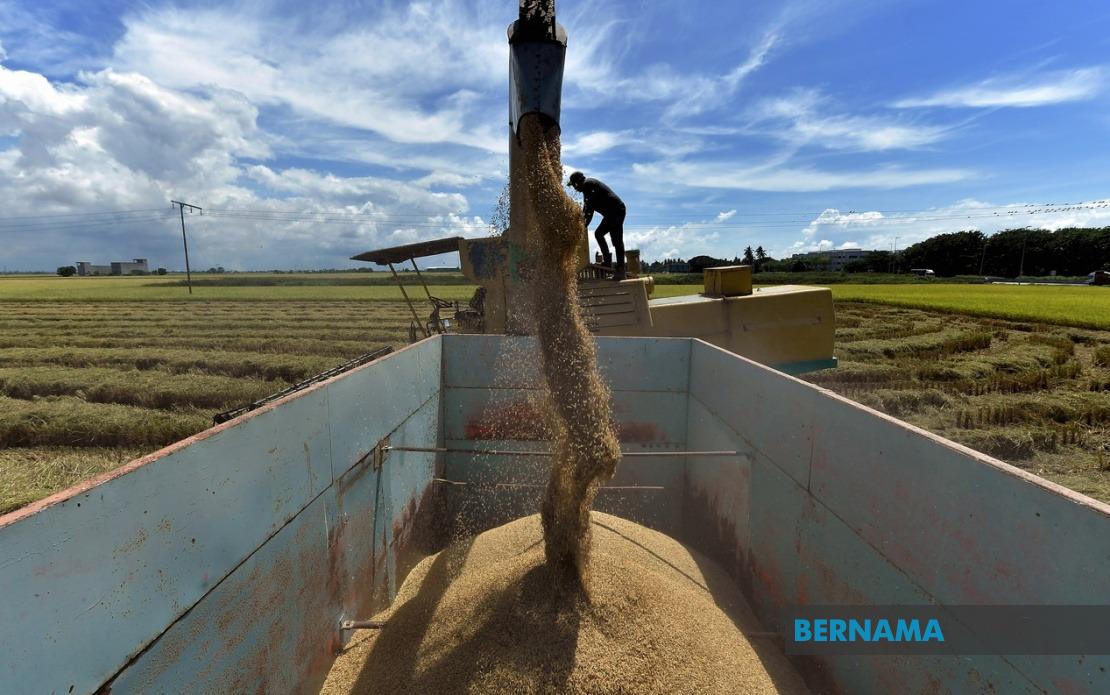 Malaysia's Rice Price Control Powers Expanded With Hefty New Penalties