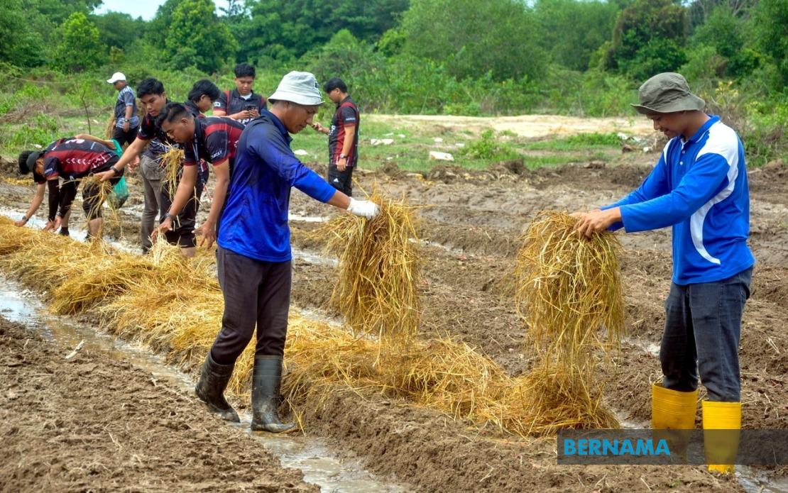 Malaysia's Agricultural TVET Employment Climbs to 76%, but Skills Gap Persists