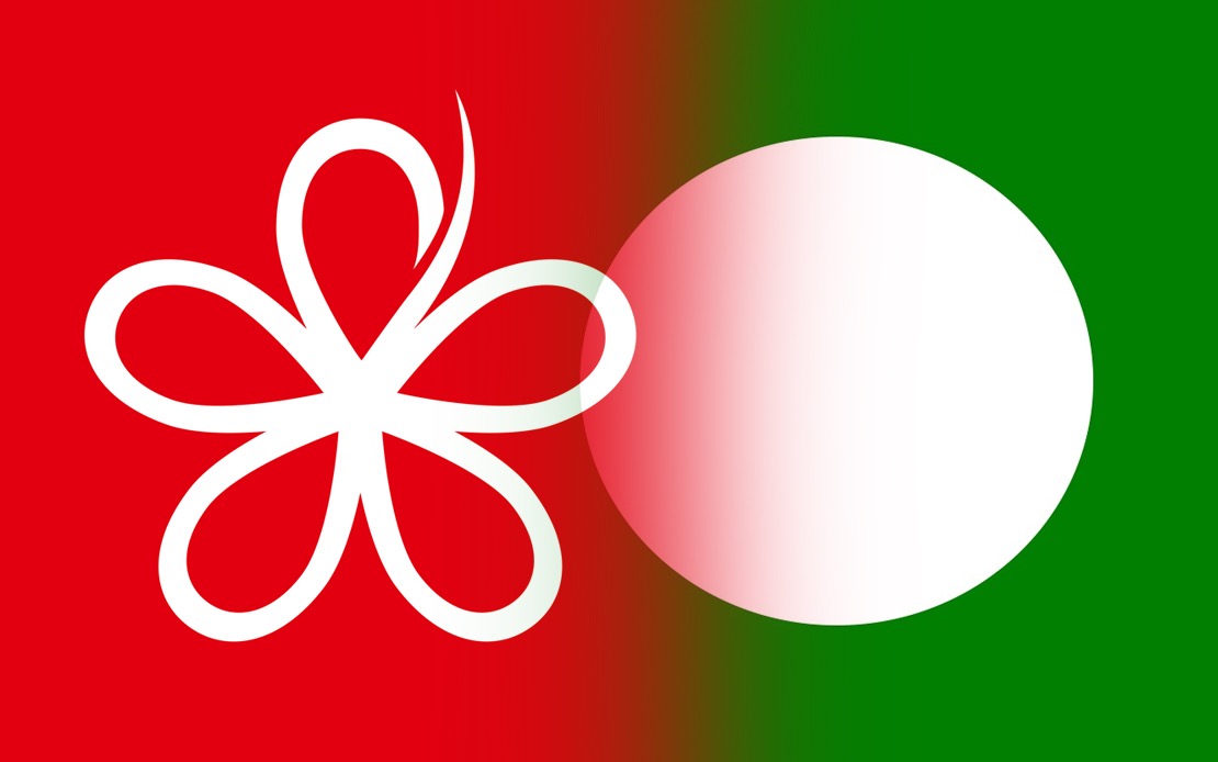 RoS Must Intervene in PN Crisis, Says Bersatu as Coalition Faces Constitutional Breakdown