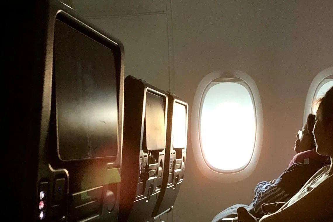 South Korean teenager petitions government for stricter rules on airline in-flight entertainment
