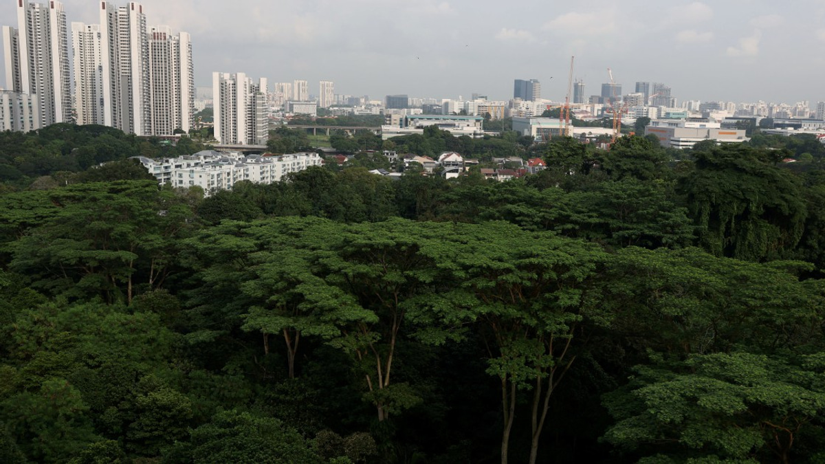 Singapore arrests three radicalised teenagers plotting violent attacks
