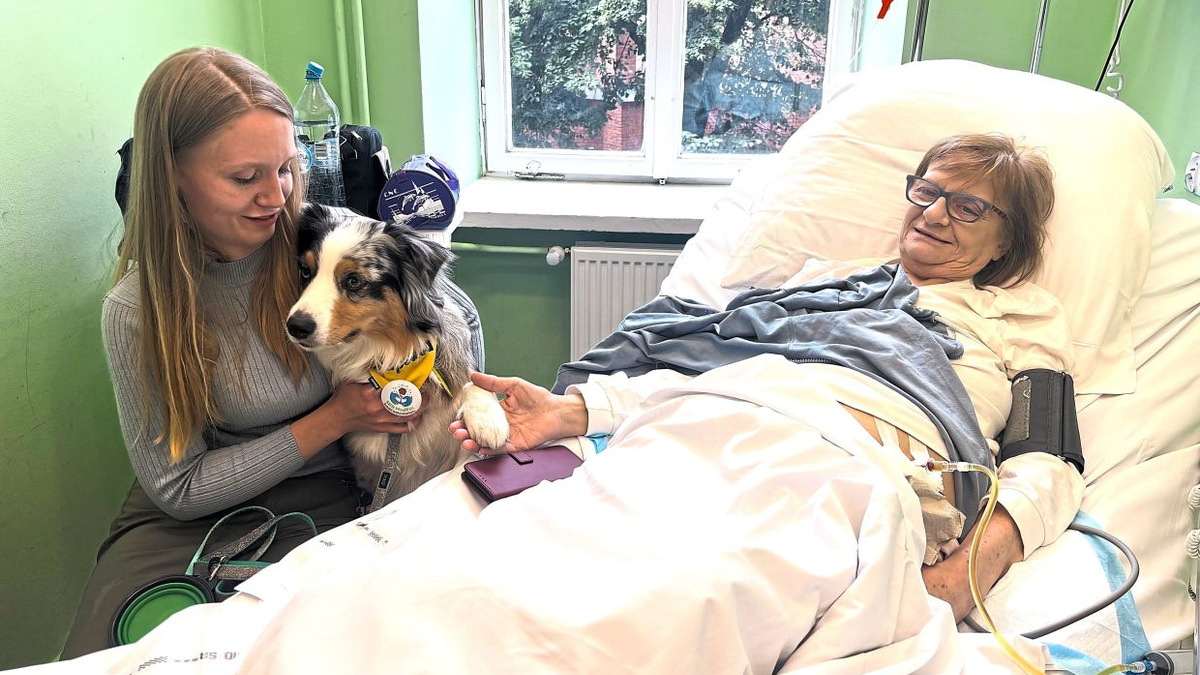 Poland moves to enshrine pets' right to visit dying patients in hospices