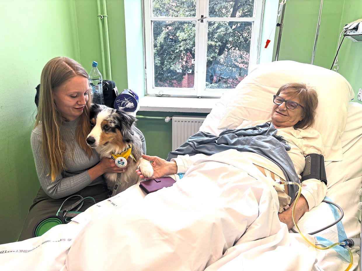 Poland moves to enshrine pets' right to visit dying patients in hospices