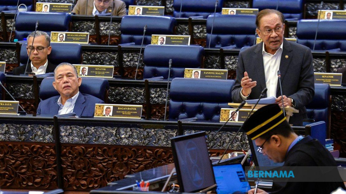 Federal Allocations Driven by Development Needs, Not Revenue Contribution, Says PM Anwar