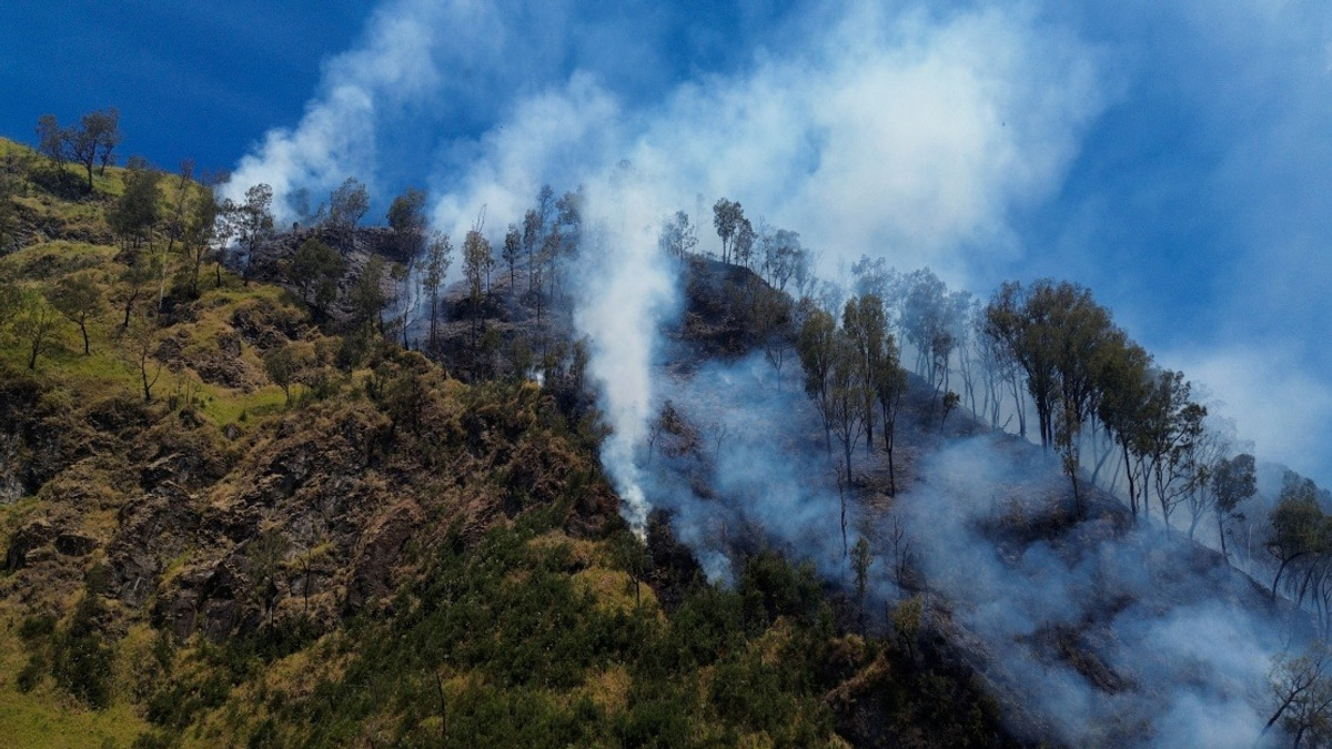 Indonesia Shuts Mount Bromo to Tourists as Wildfire Engulfs East Java Volcano