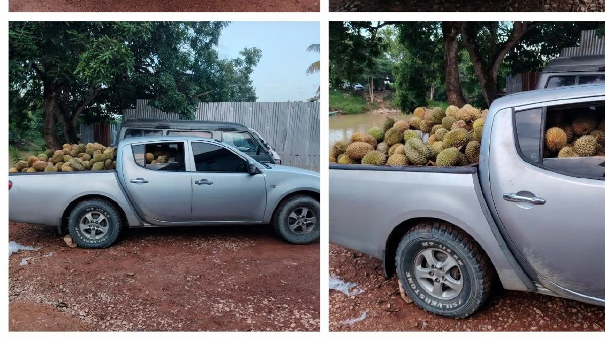 Part-time Driver Arrested with 700kg of Suspected Smuggled Durians at Rantau Panjang