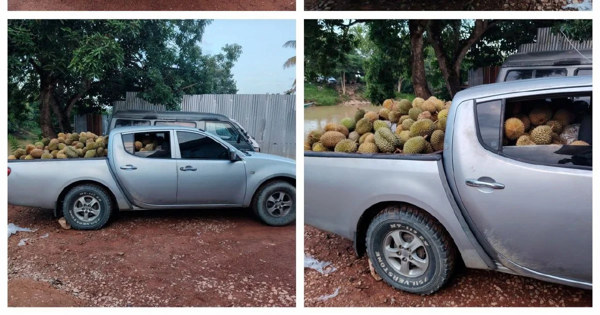 Part-time Driver Arrested with 700kg of Suspected Smuggled Durians at Rantau Panjang