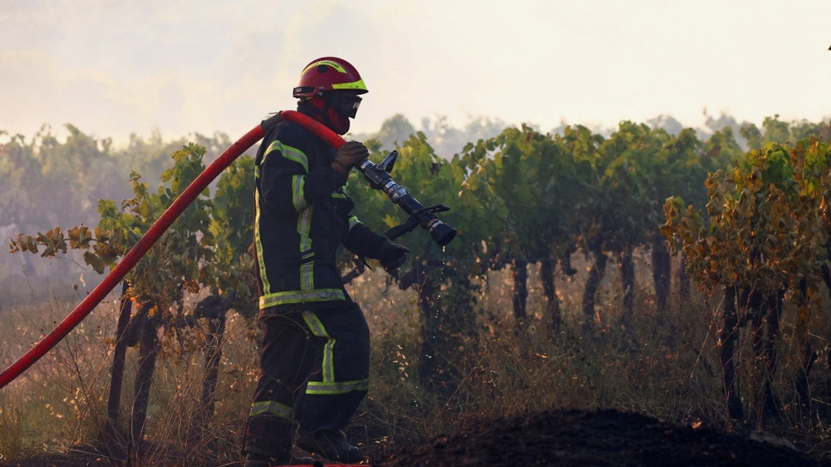 Massive Wildfires Ravage Southeast France as Extreme Heat Crisis Deepens