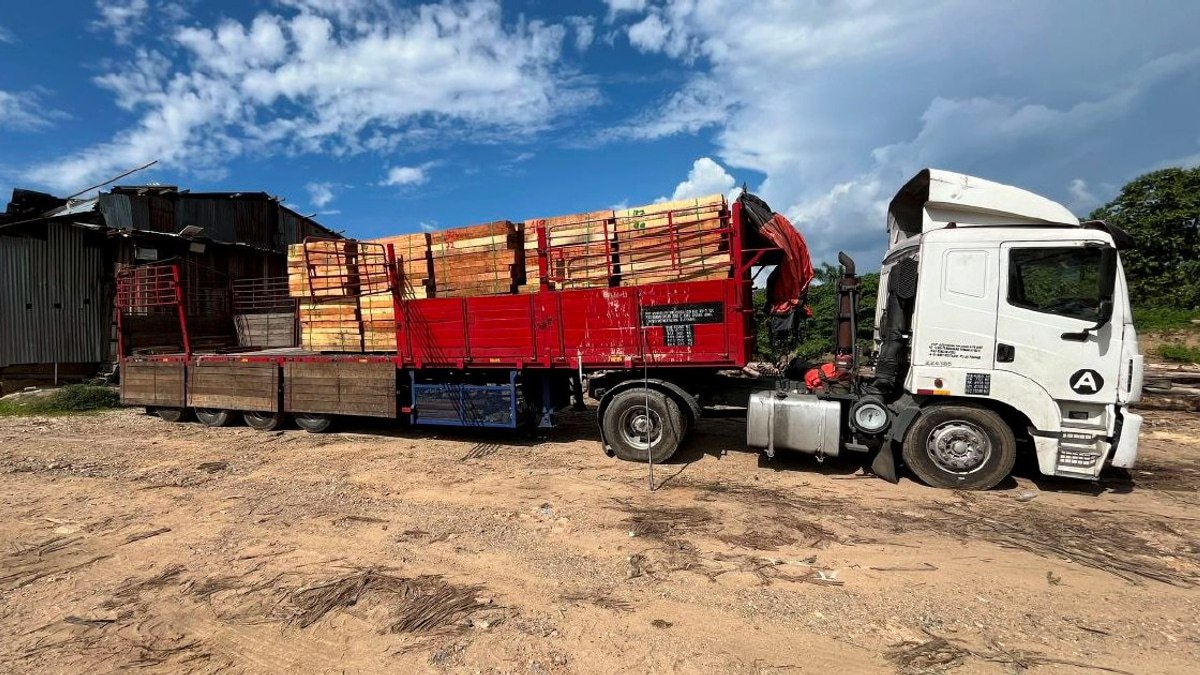 Five Arrested in Kelantan as Authorities Dismantle Major Illegal Timber Ring