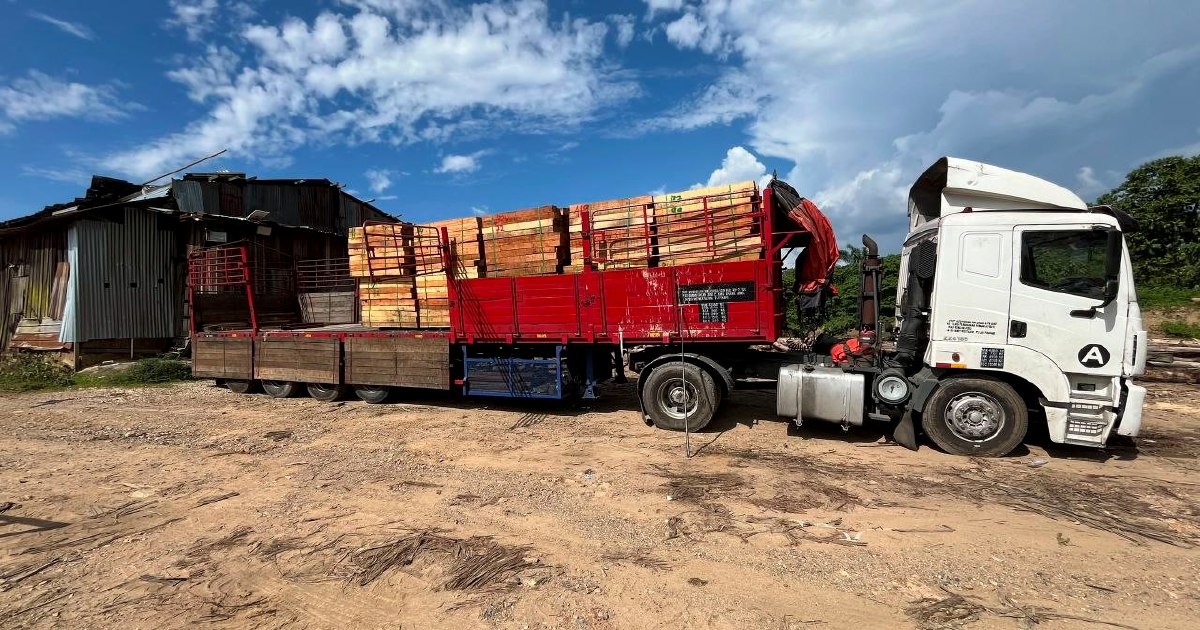 Five Arrested in Kelantan as Authorities Dismantle Major Illegal Timber Ring