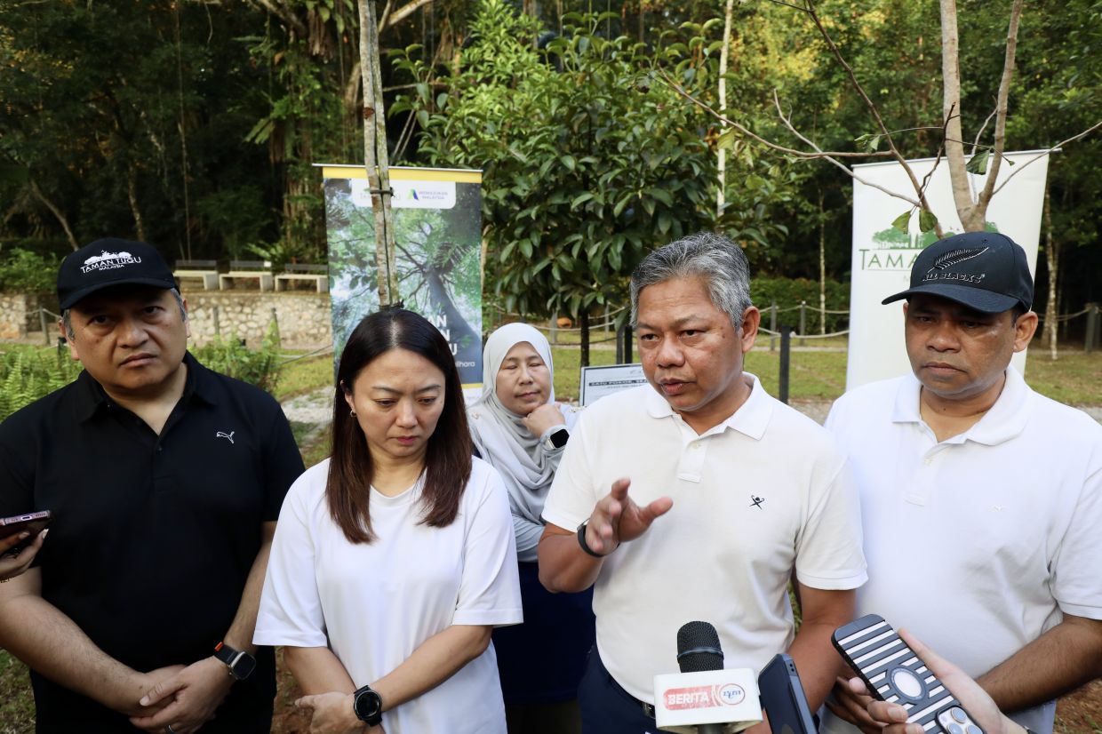 DBKL to deploy 200 sensors for real-time monitoring of hazardous trees across Kuala Lumpur