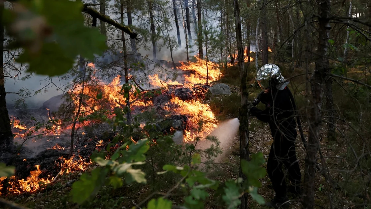 France battles major wildfire near Paris as arson suspects detained