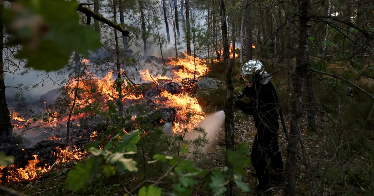 France battles major wildfire near Paris as arson suspects detained