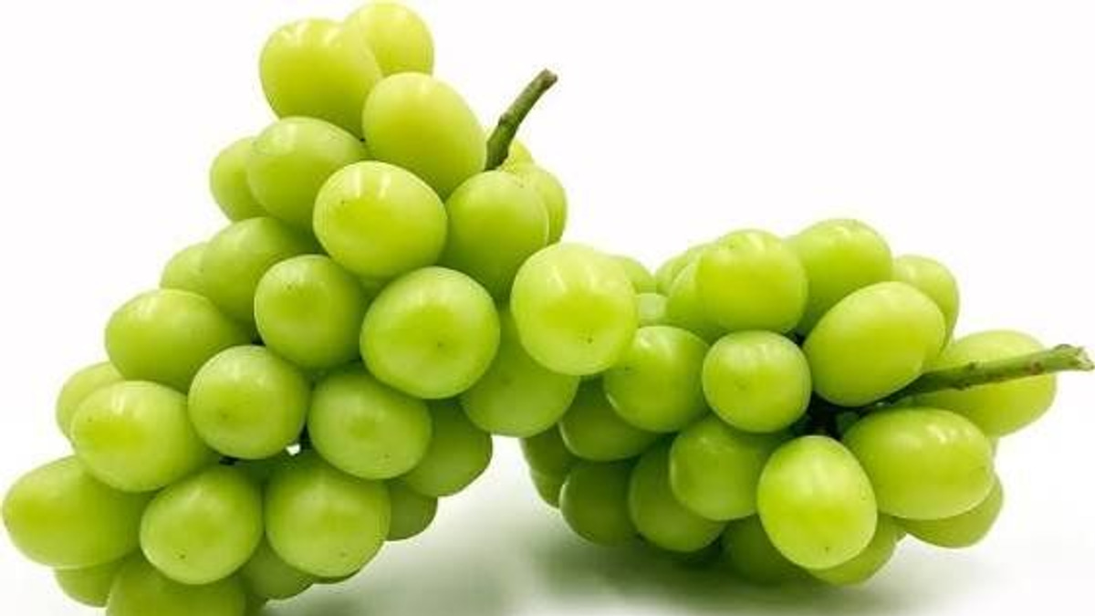 Japanese Man Arrested Over RM36,000 Grape Heist from Okayama Greenhouse