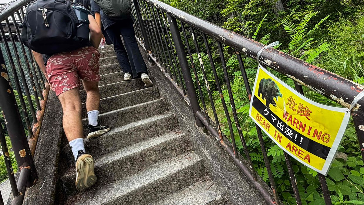Japan's Bear Crisis: Mass Camera Deployment as Mountain Attacks Reach Critical Levels