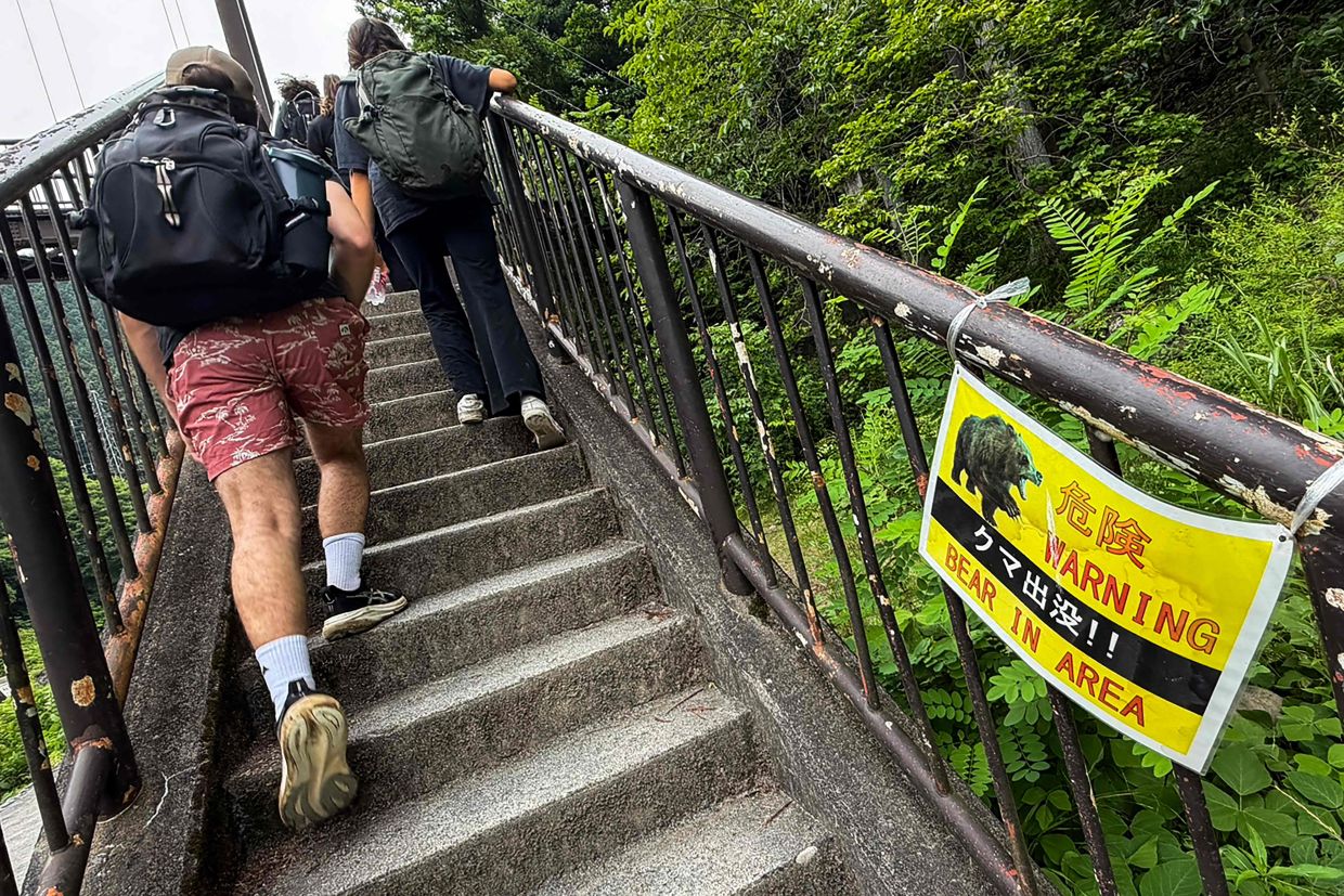 Japan's Bear Crisis: Mass Camera Deployment as Mountain Attacks Reach Critical Levels
