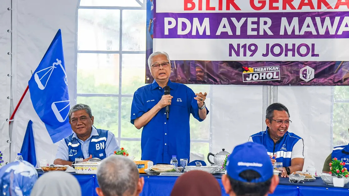 Strong Negeri Sembilan Result Could Cement BN-PN Alliance as Blueprint for GE16, Ismail Sabri Suggests