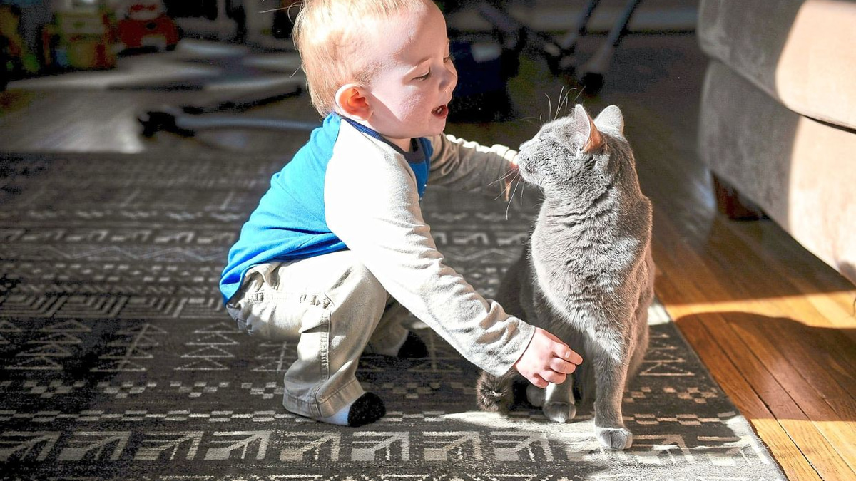 Swedish study finds living with cats does not worsen asthma in children
