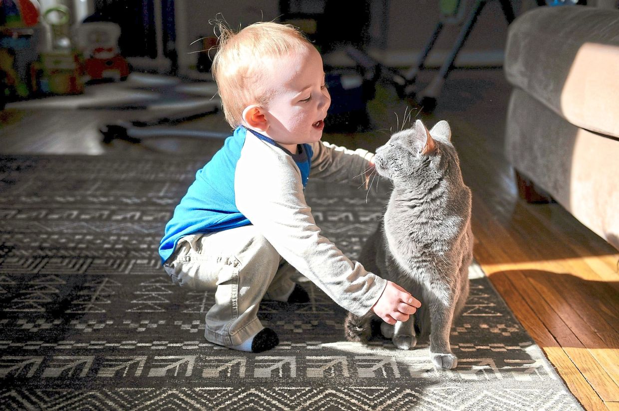 Swedish study finds living with cats does not worsen asthma in children