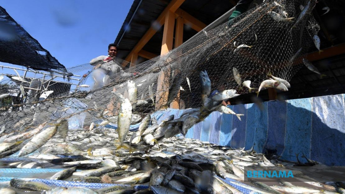 Government Commits RM10 Million to Expand Fishermen Housing Scheme Nationwide