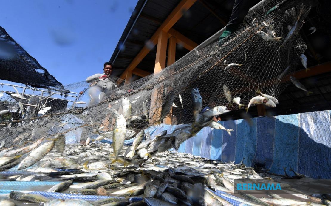 Government Commits RM10 Million to Expand Fishermen Housing Scheme Nationwide