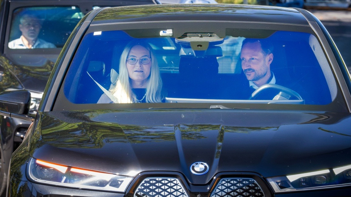 Norwegian King Harald V's Health Takes Critical Turn; Crown Prince Cancels Engagements