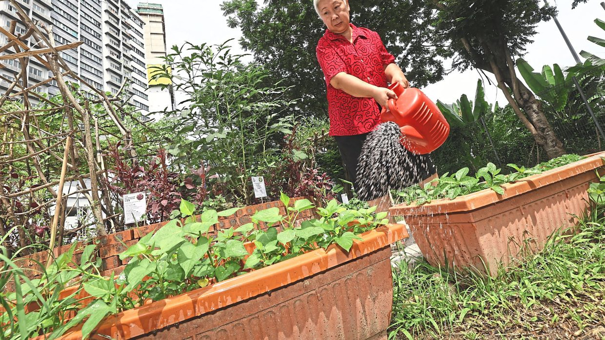 From Neglected Land to Community Asset: How KL's 1Razak Mansion Food Forest is Transforming Lives