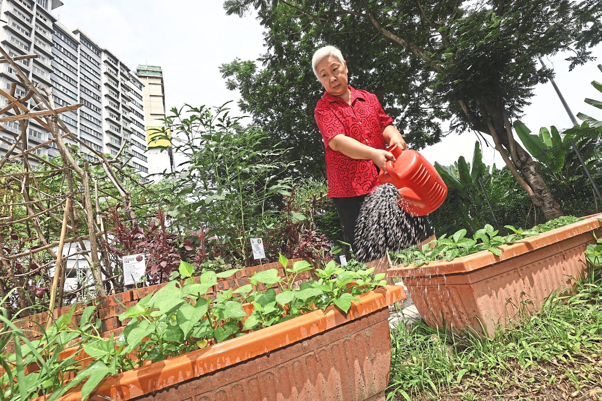 From Neglected Land to Community Asset: How KL's 1Razak Mansion Food Forest is Transforming Lives