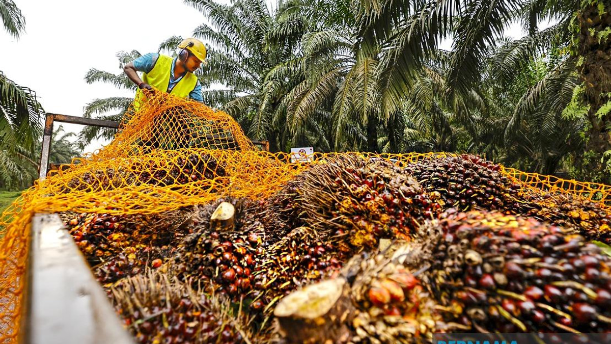 MPOB to Establish RM20-25 Million Research Station in Melaka