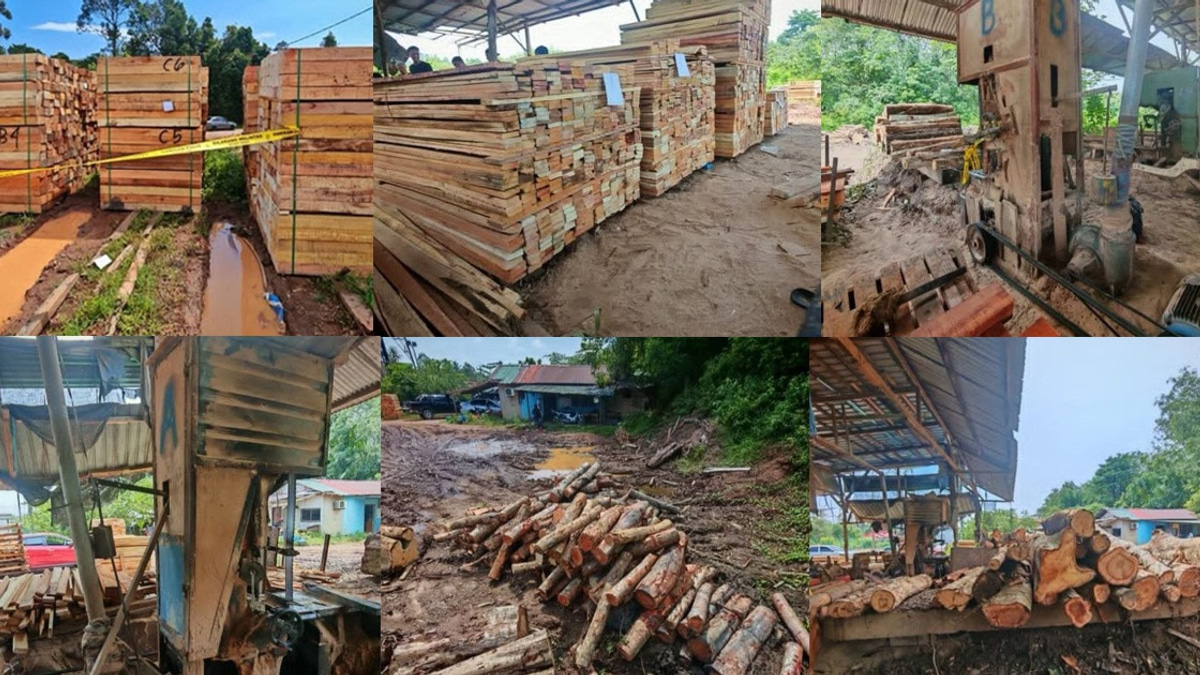 Four arrested as authorities seize RM600,000 in timber and equipment from illegal Kelantan sawmill