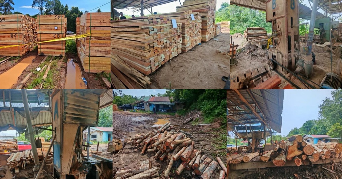 Four arrested as authorities seize RM600,000 in timber and equipment from illegal Kelantan sawmill