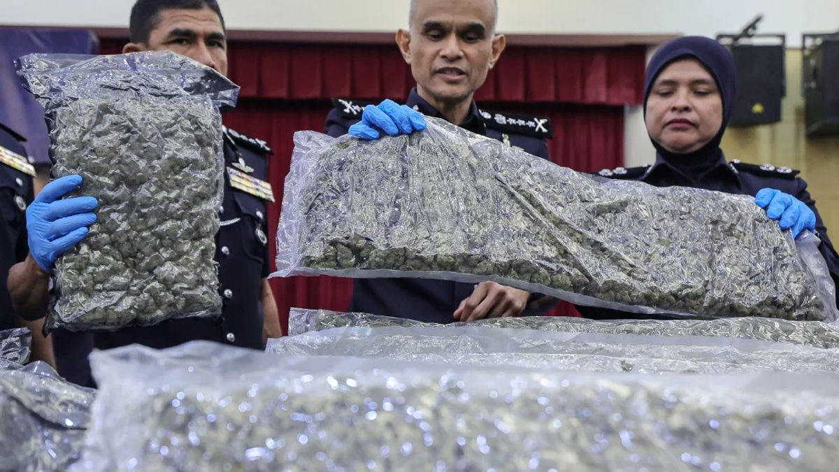 Half-tonne cannabis haul at KLIA sparks major trafficking crackdown