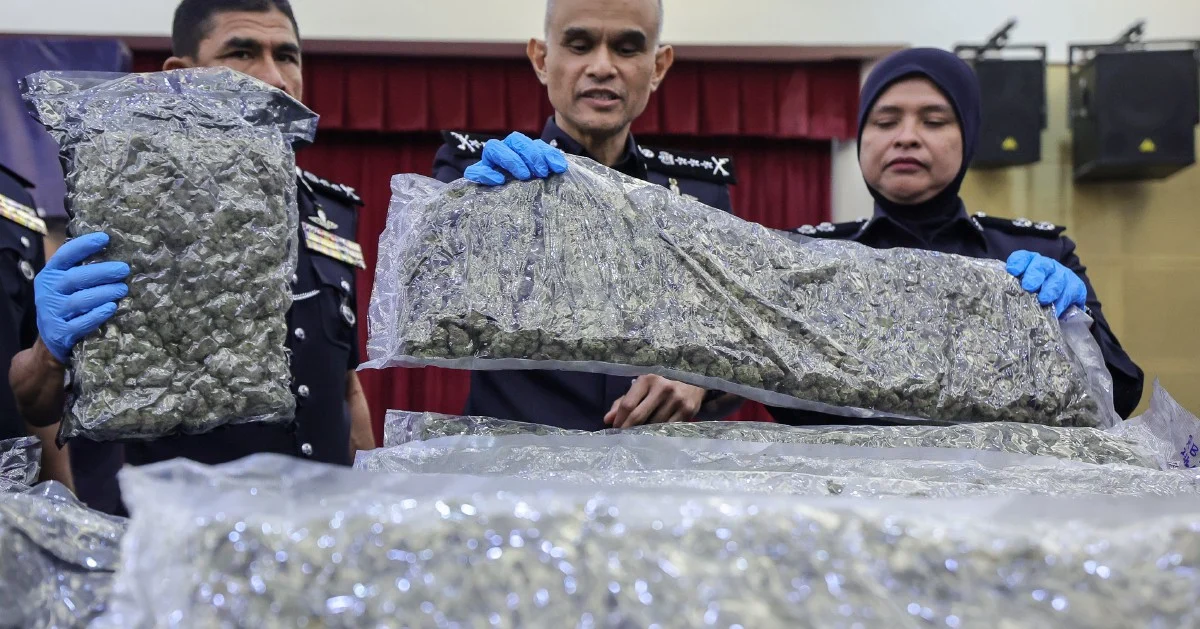 Half-tonne cannabis haul at KLIA sparks major trafficking crackdown