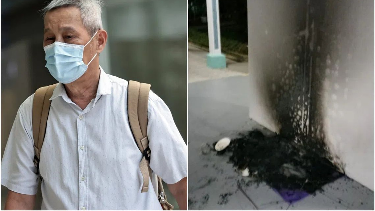 Singapore Man Jailed Three Months for Burning Community Cat Shelters