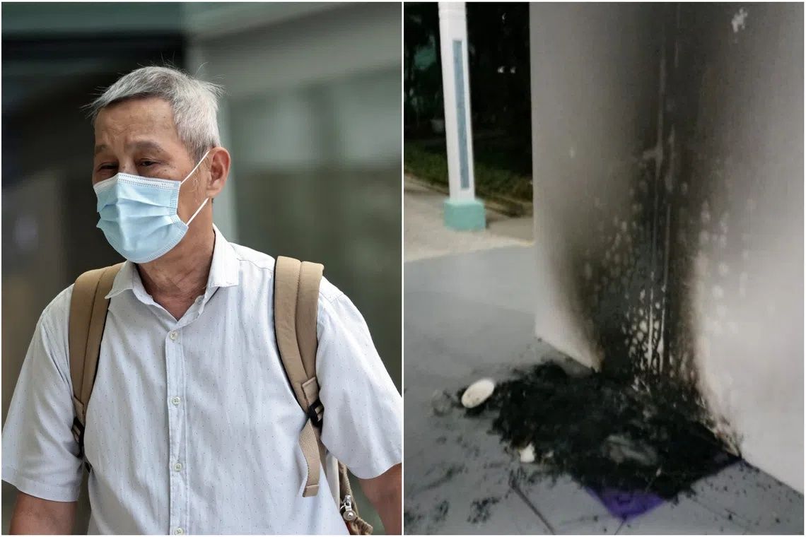 Singapore Man Jailed Three Months for Burning Community Cat Shelters