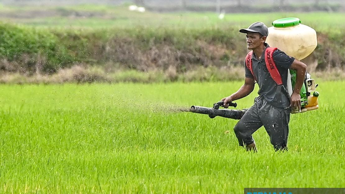 Kelantan Invests RM3.64 Million in Agriculture Push to Bolster Food Security