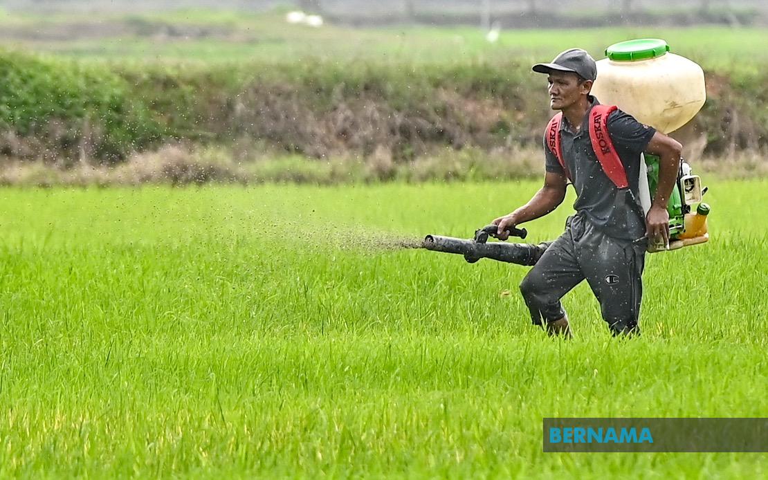 Kelantan Invests RM3.64 Million in Agriculture Push to Bolster Food Security