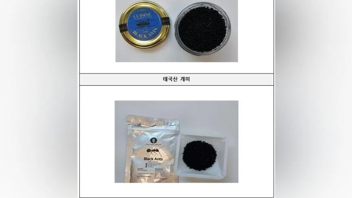 South Korean Michelin-starred chef faces jail for serving unapproved ants as culinary garnish