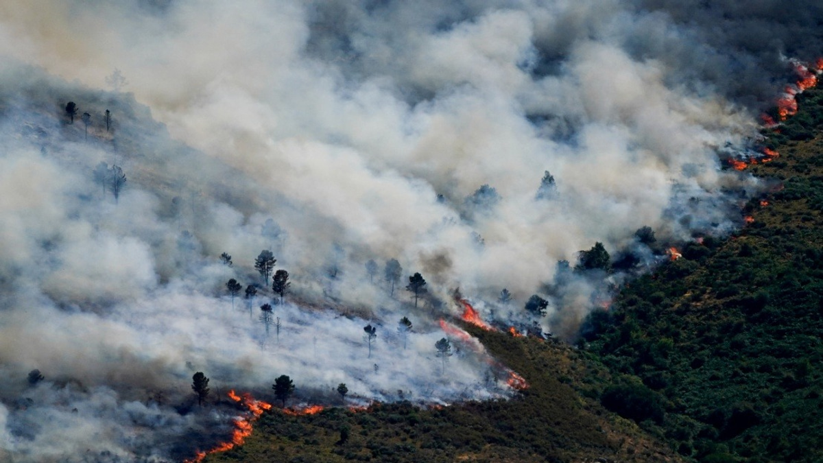 Spain Evacuates Nearly 60,000 As Wildfires Rage Near Madrid